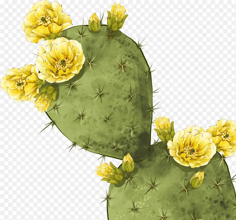 ������������-������