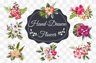 �廭Ԫ��-������