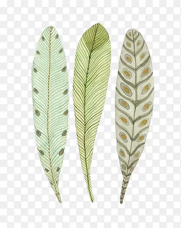 �ֻ浭����ëԪ��-������