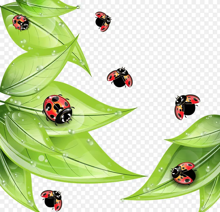 ��ͨ�ֻ������Ҷ����ư��-������