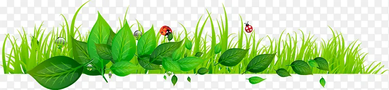 ��ɫС��Ҷ��ư��-������