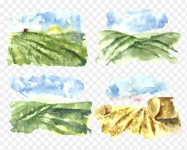 ��Ұʸ���ز�-������