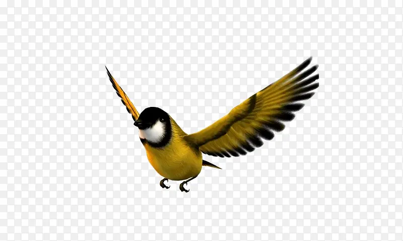 ���ŵ���-������