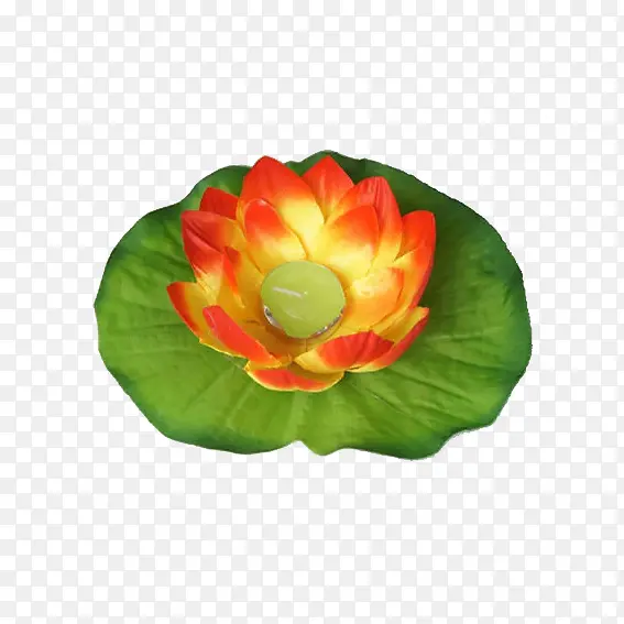 ��ɫ��ˮ��-������