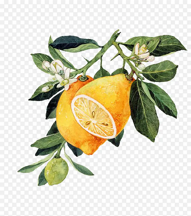 ˮ������-������