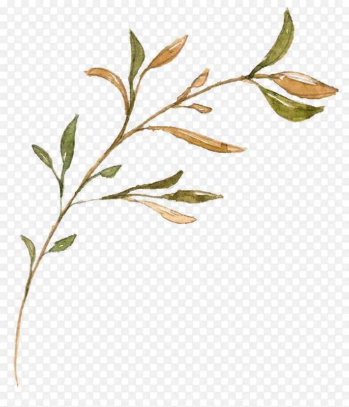 �ֻ�Ҷ��-������