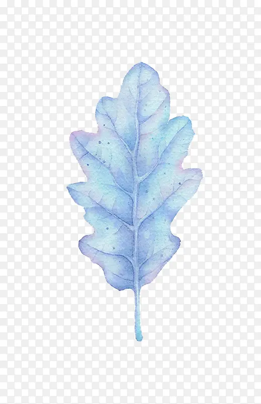 ��Լ��ɫˮ��Ҷ��-������