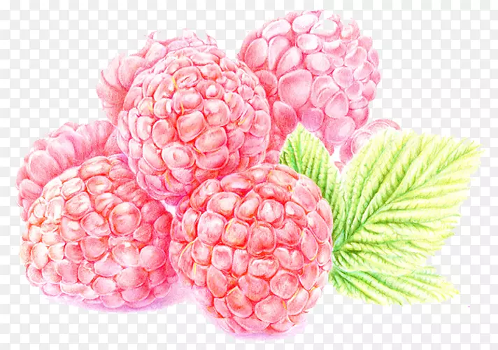 �����ӹ�-������