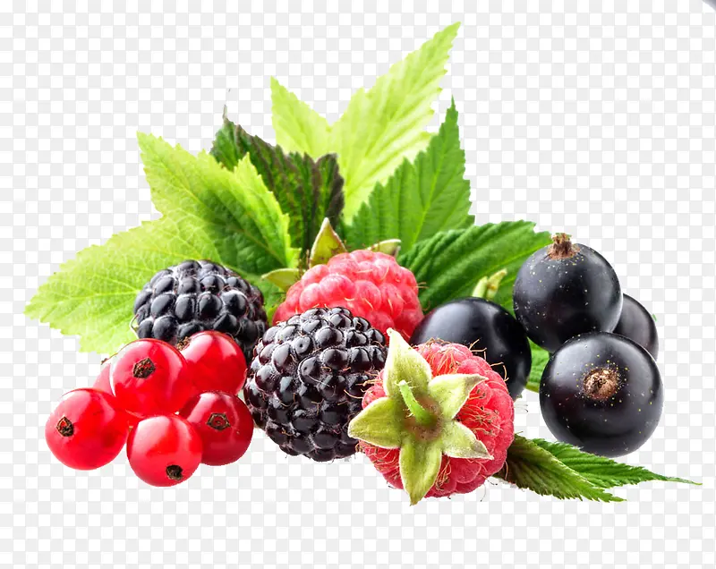 ����ˮ��-������