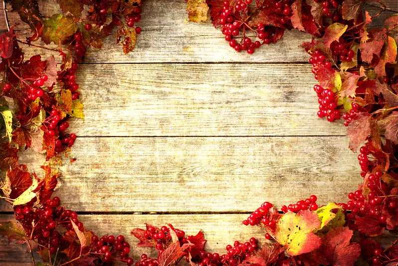 ��ɫʱ�й���Ҷ�ӱ���-������