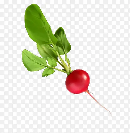 ��ͨ�߲�װ��2-������