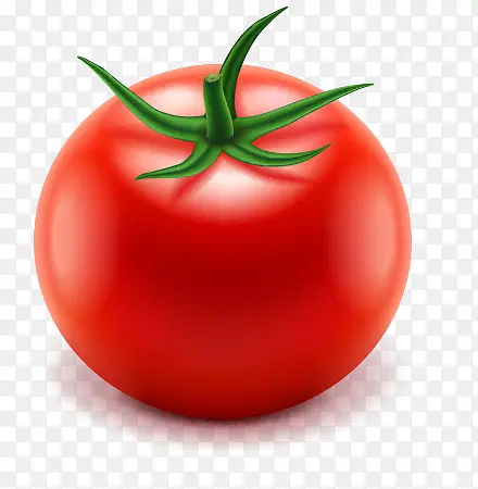 ��ͨ�߲�װ��5-������