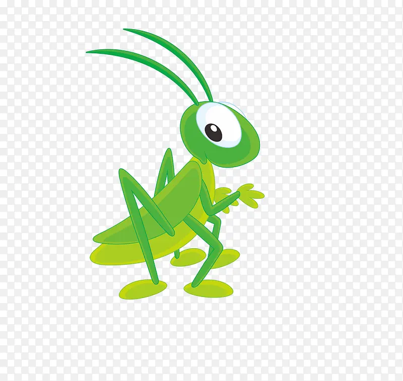 ��ͨ����-������