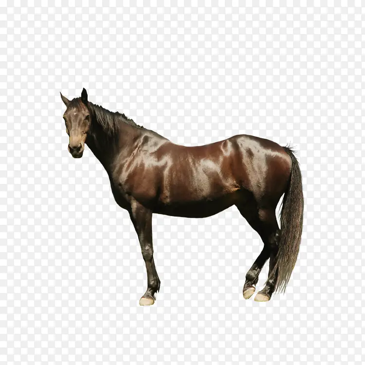 ������-������