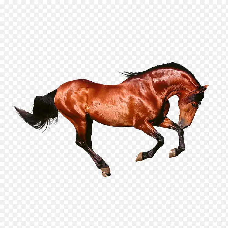 ��-������