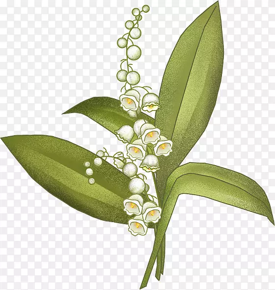 �ٺϻ�����-ɽ�Ȱٺϻ�-������