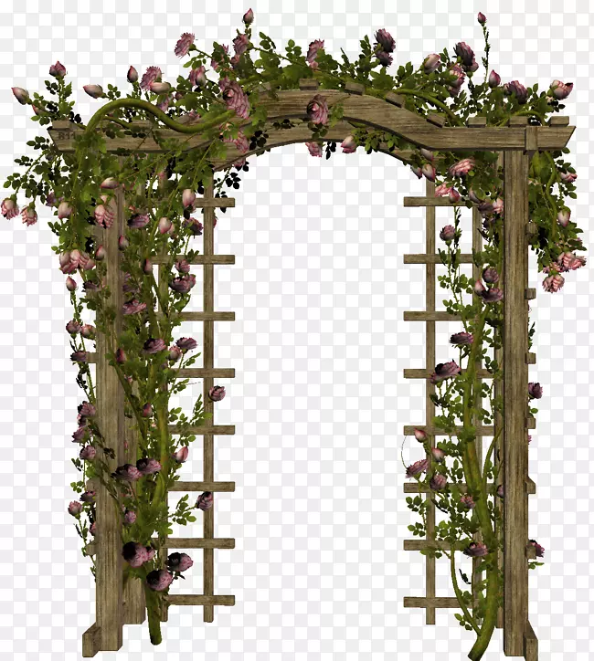 ��԰õ�廨�껨����Ʋ���-����-������