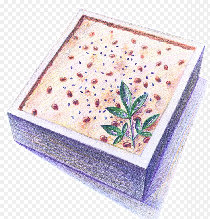 �ֻ���ʳ-������