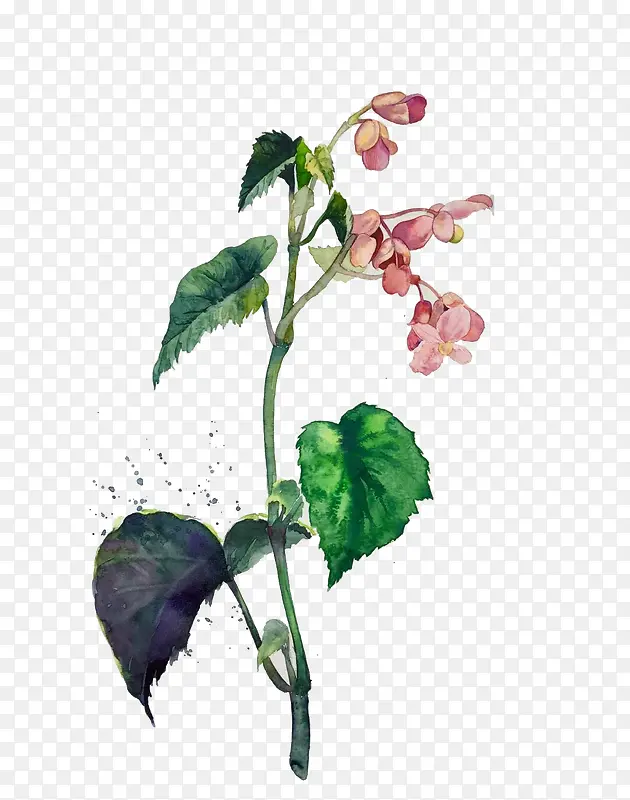 ˮ�ʷ�ɫ�������ز�-������