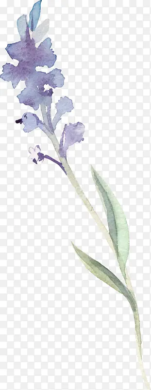 ˮ�ʻ���-������