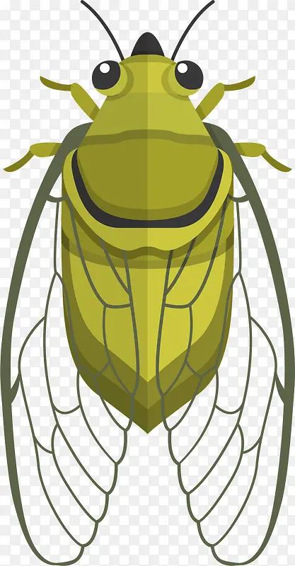 ��ɫ��˶�������ද��-������