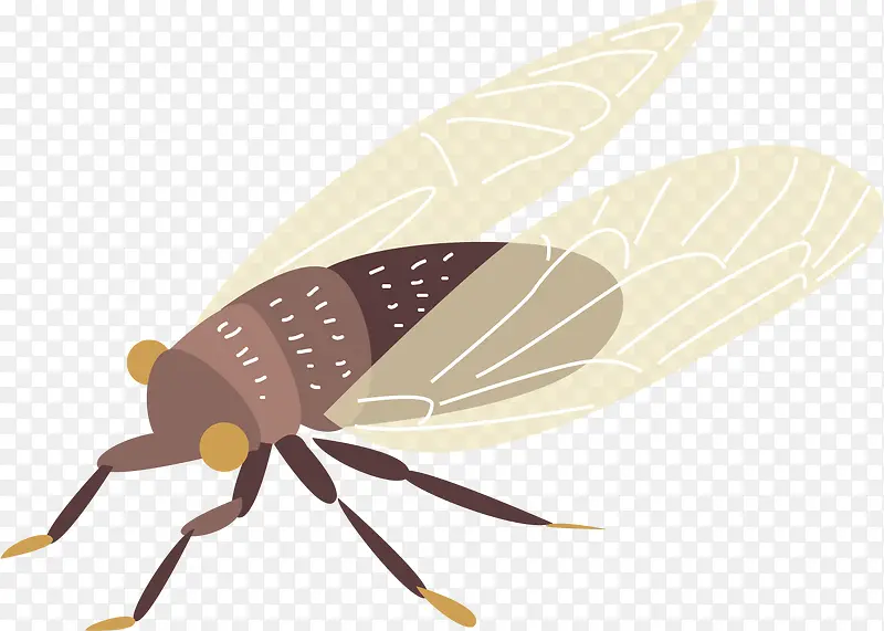 �������ɵİ�ɫ����-������