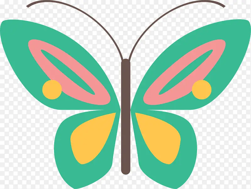 ��ɫ��������-������