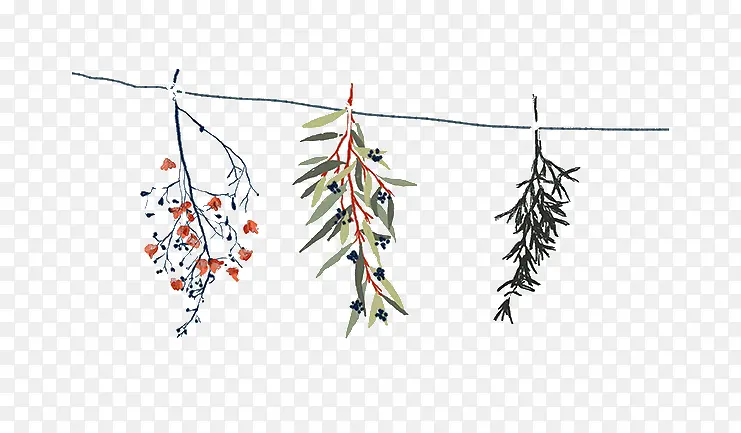 ��ͨ����ֲ��-������