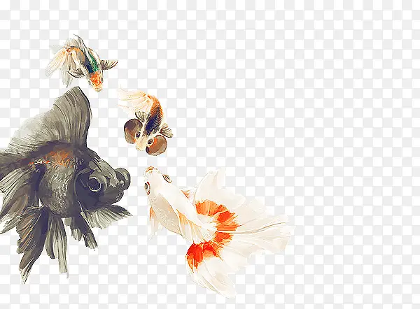 �ֻ�ڰ�ɫ�ɰ�����-������