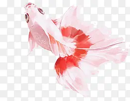 ��ɫ�����ֻ�-������