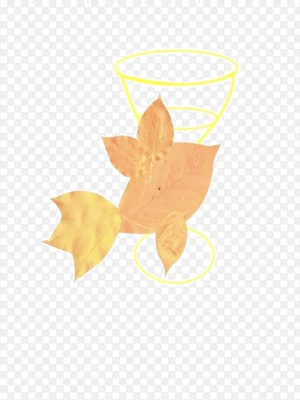 ��Ҷ����-������