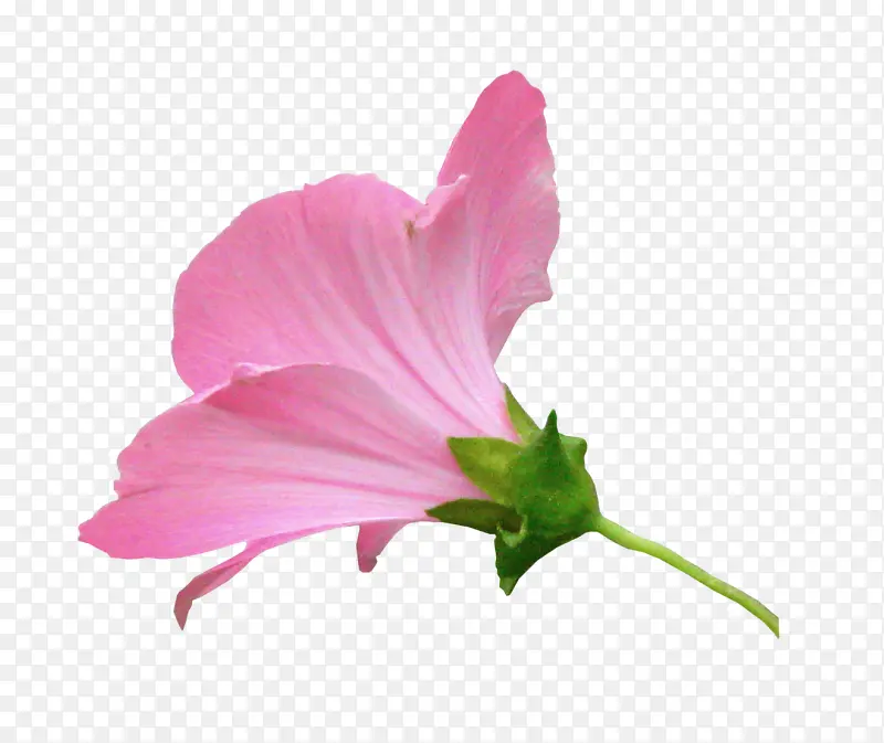 ���ݲ廭���ݱ����ز�-������