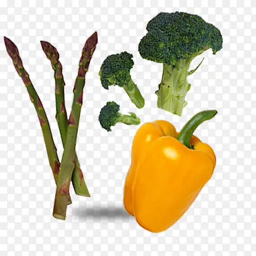 ���ʵ���ɫ�߲�-������