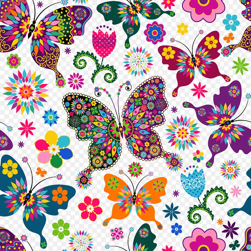 ��ɫ���ƺ���-������