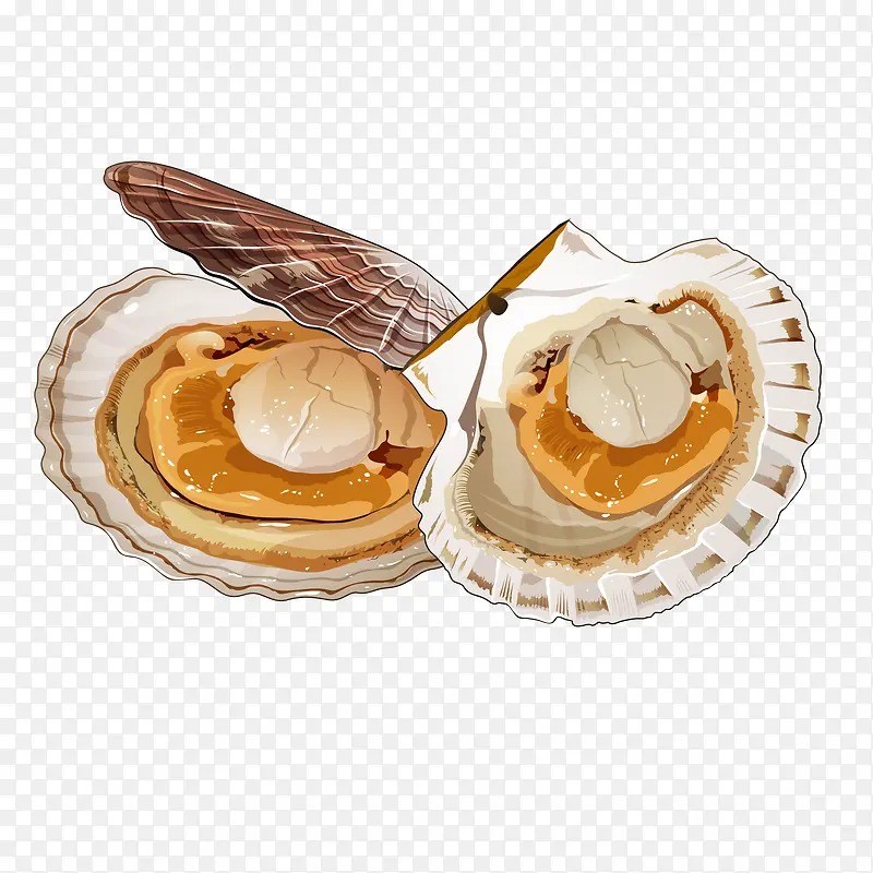 ��ͨ�ȱ�����ʳ�����-������