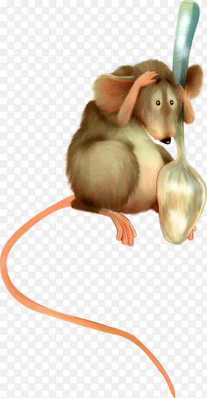 ���� ��ͨ ����-������