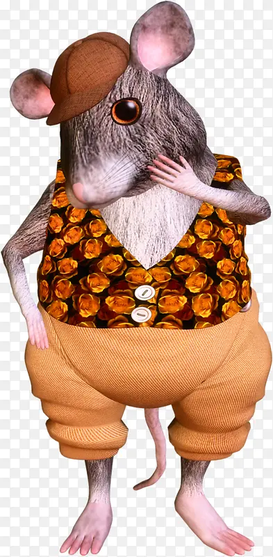 ���� ��ͨ ����-������