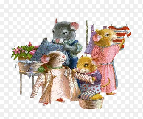 ���� ��ͨ ����-������