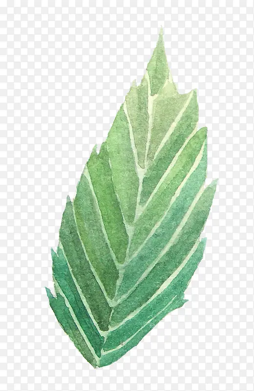 ˮ�ʻ�Ҷ��-������