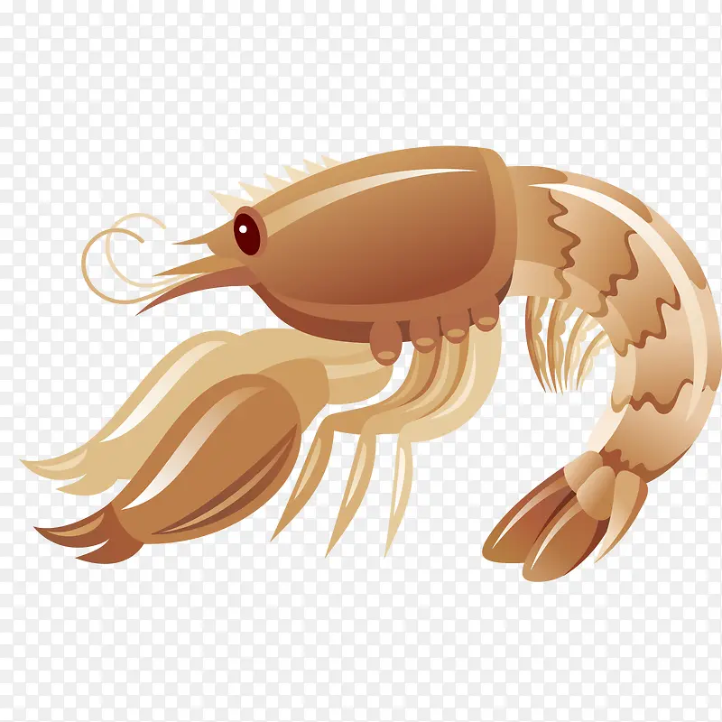 ������ĺ���ʳ�����-������