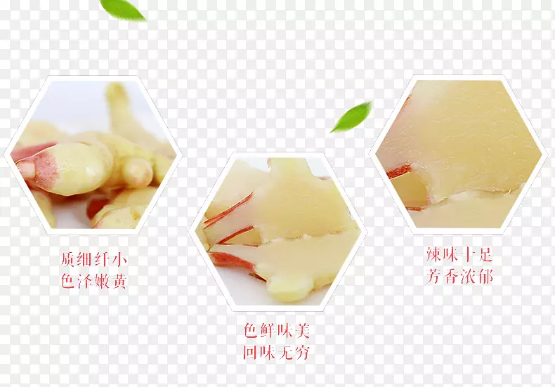 ��ζ-����ѿ-������