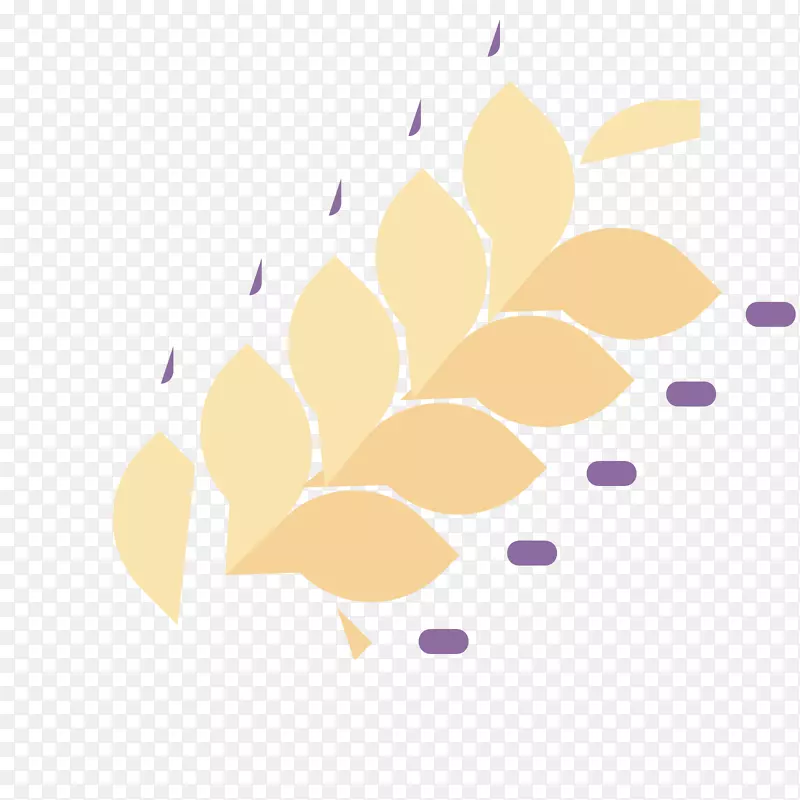 �϶�����޹�²�-������