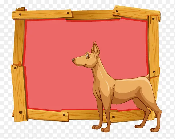 ����չ��-������