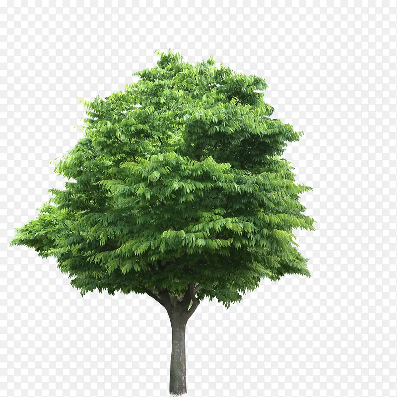 ��Ԫ��-������