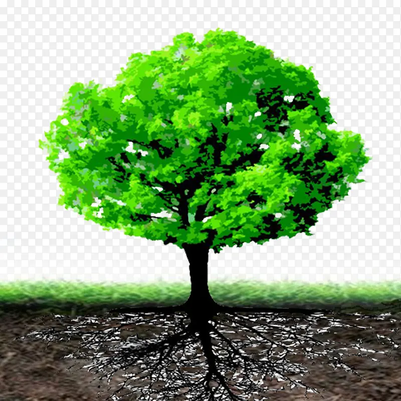 ����Ԫ��-������