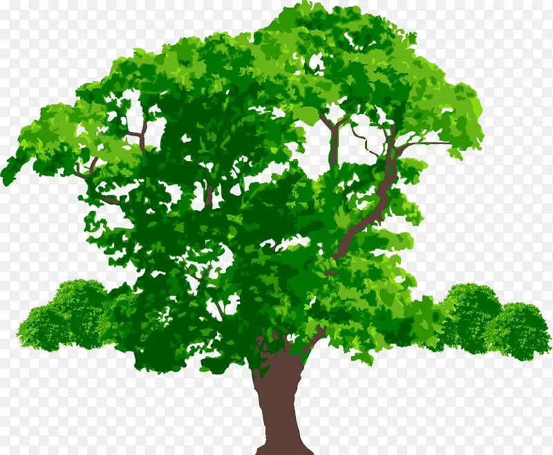 ����pngʸ��Ԫ��-������