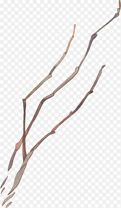 ˮ����֦-������