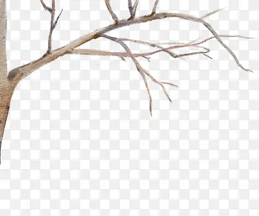 ��֦-������