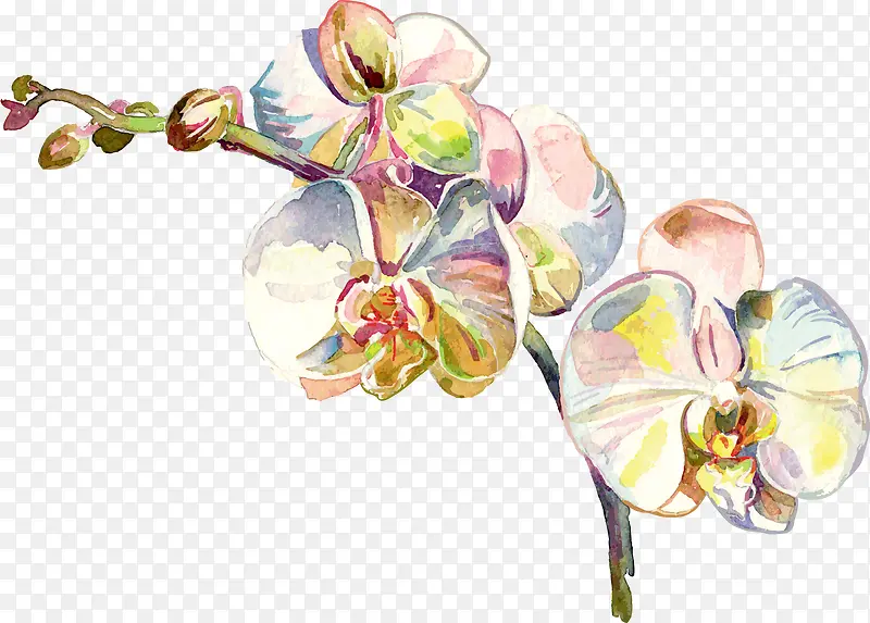 ��Լ��Ҷ��-������