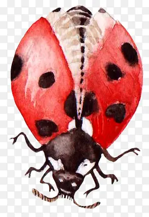 ����ư��-������